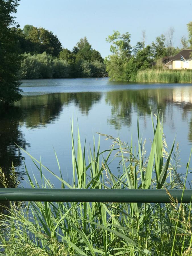 Leuk Vakantiewoning Dijk Woning Met 3 Slaapkamers Dicht Bij De Belgische Grensen Westdorpe Eksteriør billede